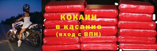 прущие грибы Богородск