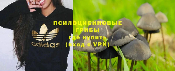 дмт Богданович