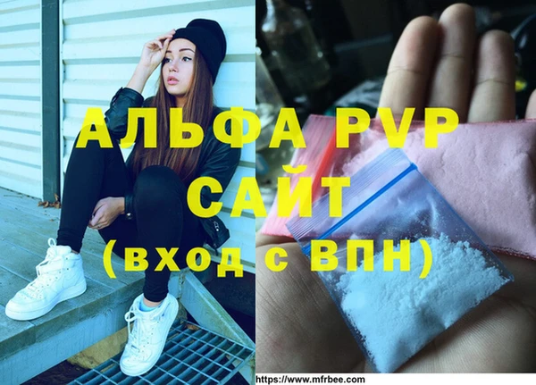 дмт Богданович