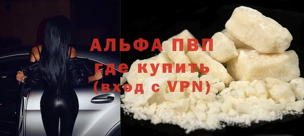 прущие грибы Богородск