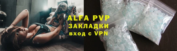дмт Богданович