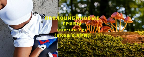 прущие грибы Богородск