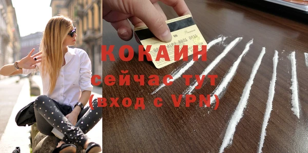 дмт Богданович