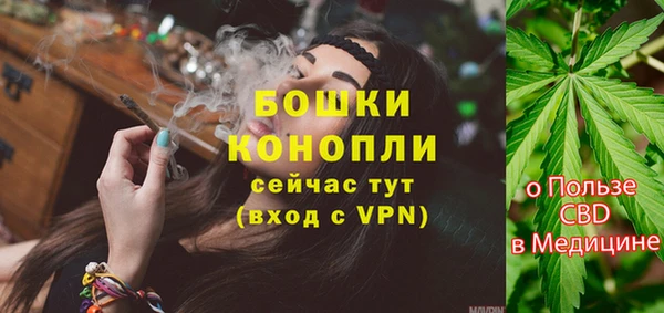 дмт Богданович
