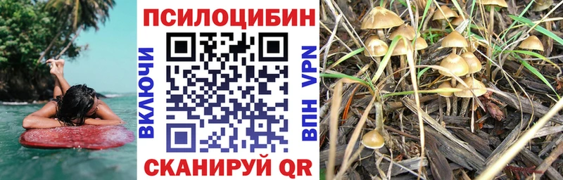 сайты даркнета какой сайт  закладки  Топки  Псилоцибиновые грибы MAGIC MUSHROOMS 